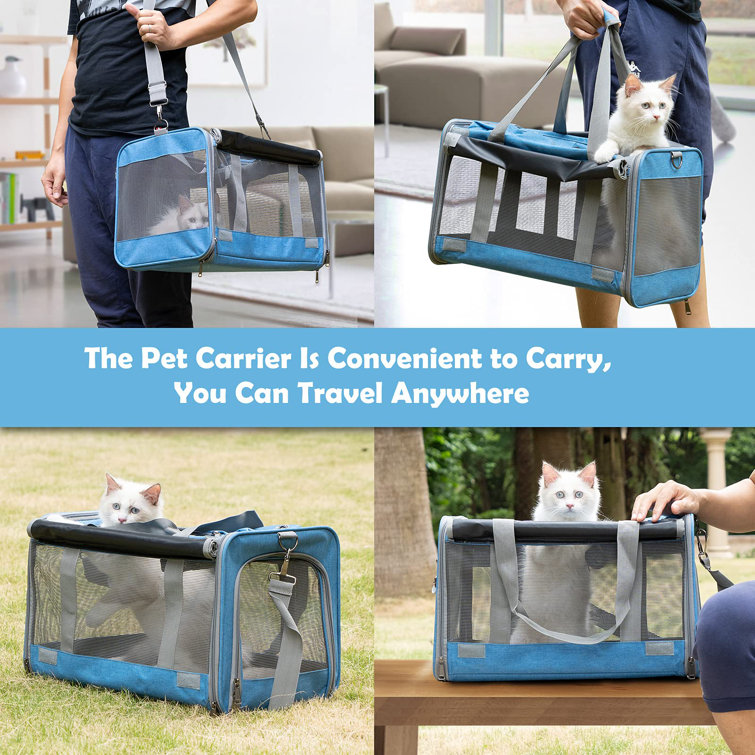 Wayfair cat shop carrier